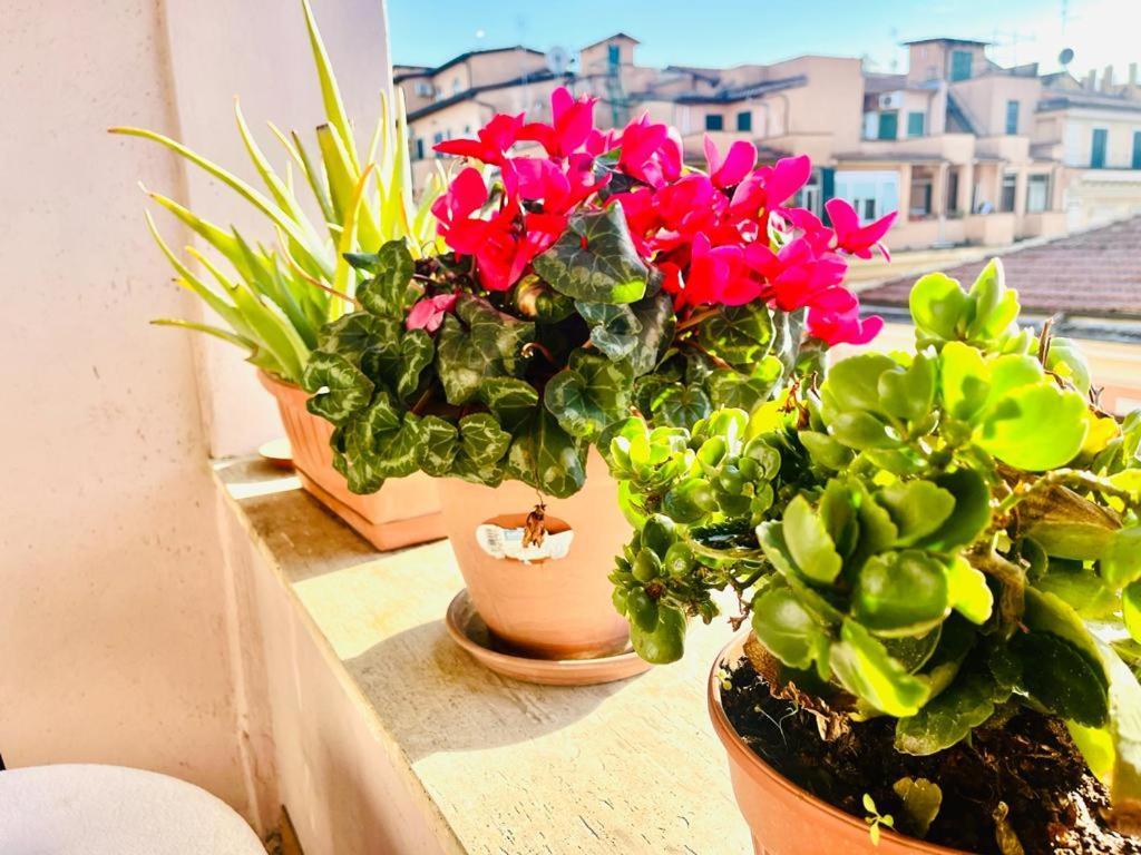 Green Guesthouse Рим Екстер'єр фото